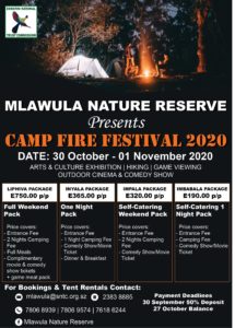 Camp Fire Festival 2020