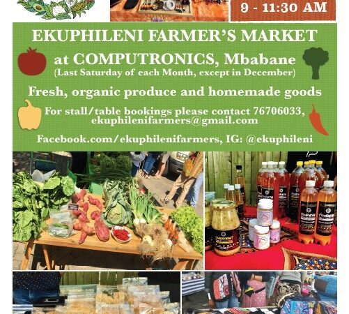 Ekuphileni Farmer's Market 11 2022
